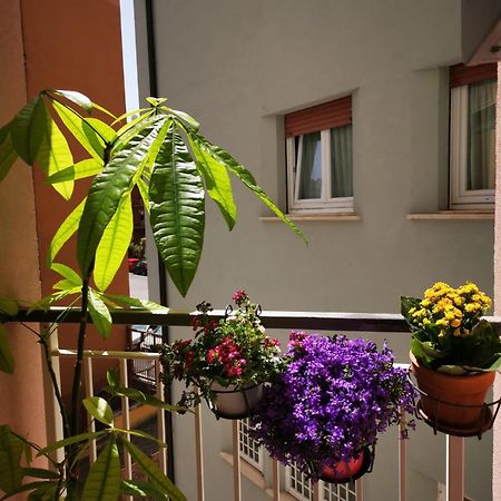 Apuleio 11 Apartamento Roma Exterior foto