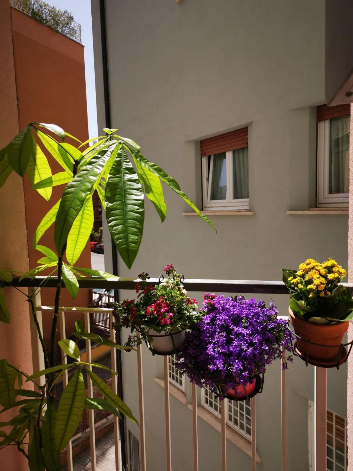Apuleio 11 Apartamento Roma Exterior foto